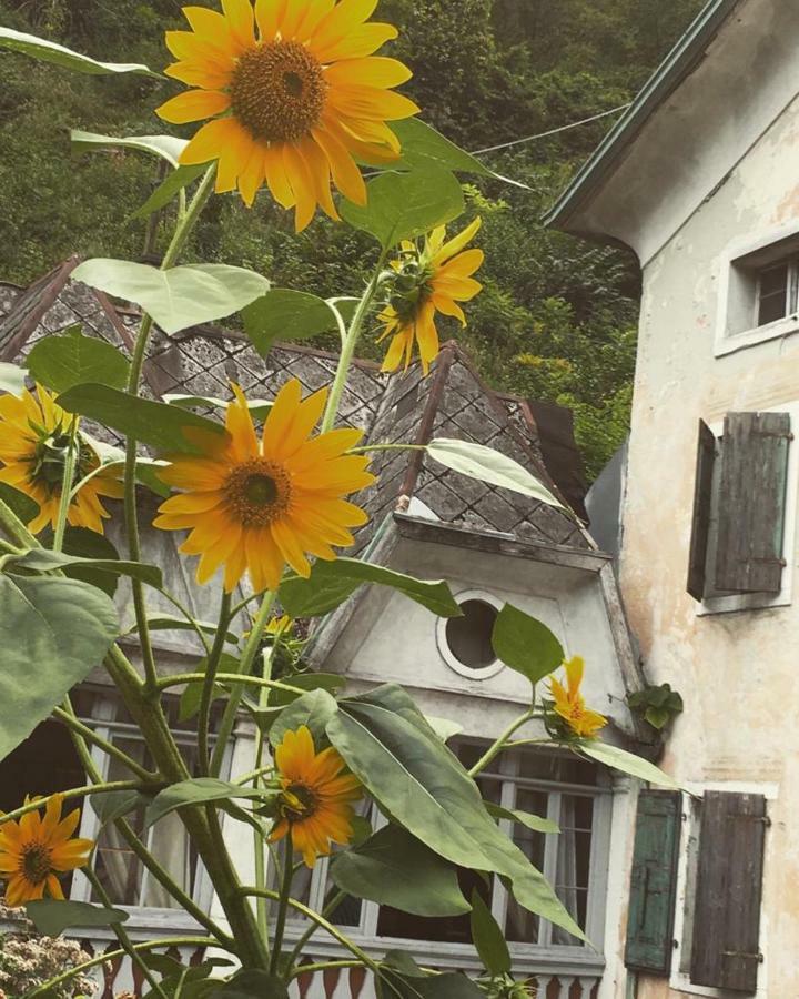 Locanda Ponte Serra Hotel Lamon Kültér fotó
